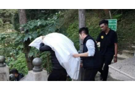 偃师融资清欠服务